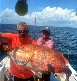 Reeled in Panama City finest Snapper